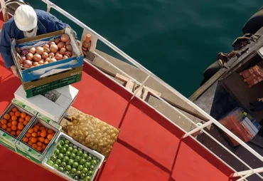 Why Fresh Provisions Are Vital for Maritime Crews